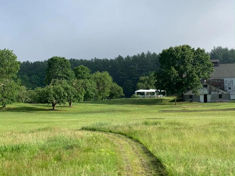 farm field with grass